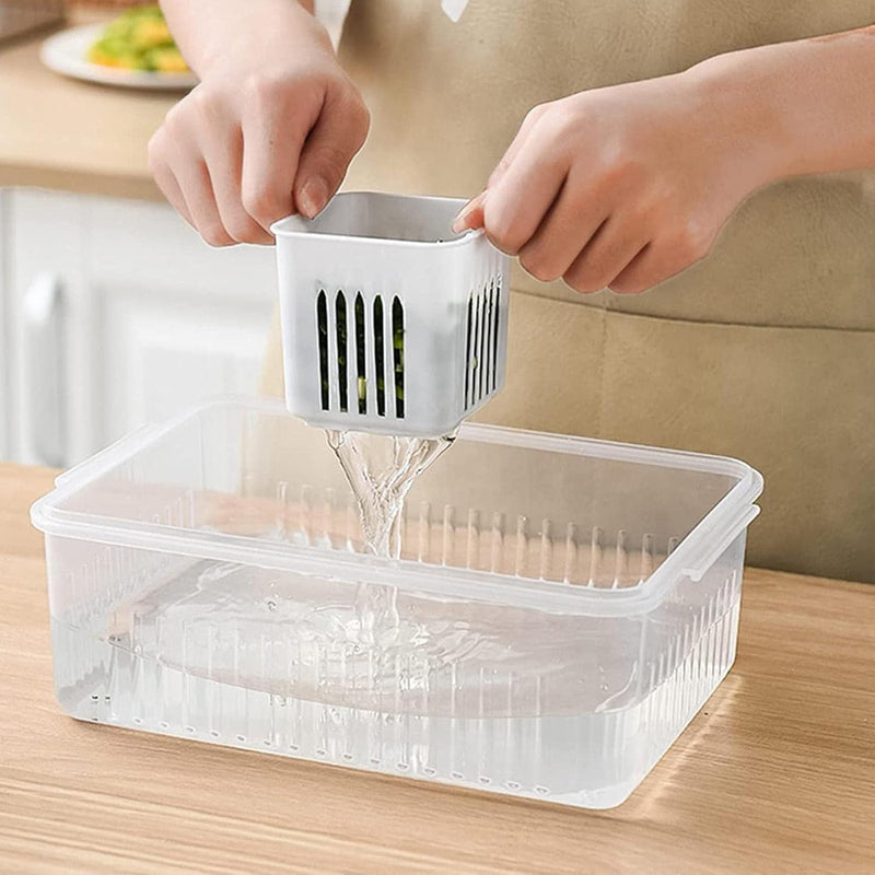 Pote Organizadores Multiuso para Temperos e Legumes - 6 Compartimentos! - Outlet do Cazé