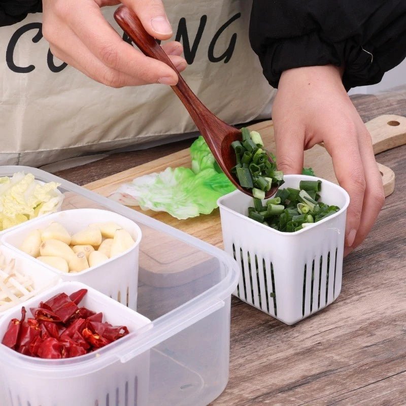 Pote Organizadores Multiuso para Temperos e Legumes - 6 Compartimentos! - Outlet do Cazé