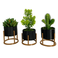 Trio de Vasos Cachepot com Suporte Para Cactos ou Suculentas - Outlet do Cazé