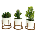 Trio de Vasos Cachepot com Suporte Para Cactos ou Suculentas - Outlet do Cazé